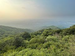 -紫金山山顶公园