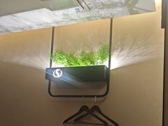 -华夏良子·足道SPA艾灸(王府井店)