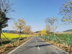 -光明小镇欢乐田园