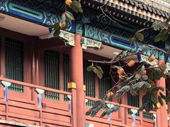 -北京石刻艺术博物馆(五塔寺)