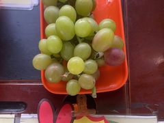 -马陆小张葡萄园农家乐