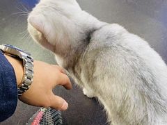 -M.S拳击泰拳馆(大学路店)
