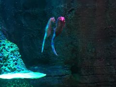 -沈阳海洋探索中心