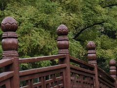 -莲花池公园