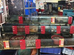 -鑫鸿达·海鲜闽菜热炒小馆(中山路店)