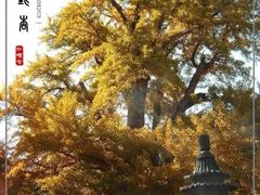 -红螺寺