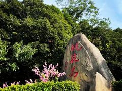 -桃花岛风景旅游区