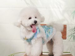 -星光摄影器材城