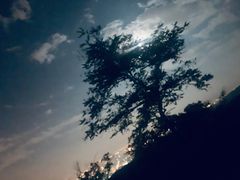 -鬼笑石后山停车场