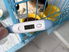 -嘉馨宠物医院·CT影像转诊·心脏科·犬猫全科诊疗中心(下沙大学城院区)