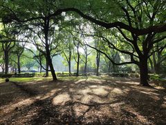 -上海交通大学医学院附属瑞金医院(总院)