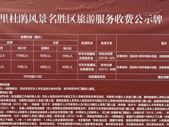-贵州百里杜鹃风景名胜区
