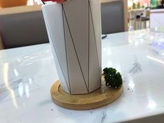 -喵园·猫主题咖啡厅·撸猫·猫咖(国贸店)