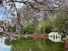 -星湖旅游景区七星岩