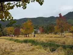 -塔川景区