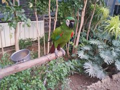 -南宫五洲植物乐园