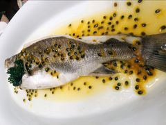 百香果蒸海鲈鱼-觅唐MITONG(鸟巢店)