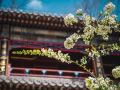 -潭柘寺景区