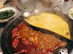 -朱光玉火锅馆(正弘城店)