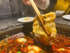 花鲢鱼-大鱼山房鱼头火锅(老字号品质店)