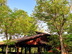 -盘龙城国家考古遗址公园