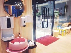 -藏猫猫咖啡主题馆(中央大道店)