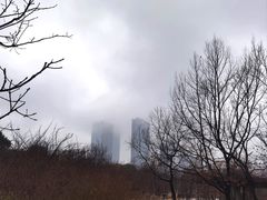 -白塘生态植物园