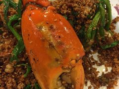 -桥底辣蟹(谢斐道店)