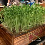 不排队 直接入座 店内也还有空位