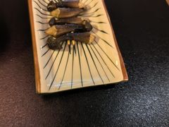-一吉焼鸟·FOUNDER(桂林路店)