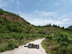 -舒家湾天主教堂