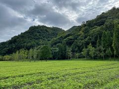 -贵阳市花溪国家城市湿地公园