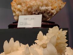 -湖南省地质博物馆