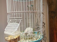 -博山菜·大厨烙馍村(金乔社区店)