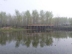 -溱湖国家湿地公园