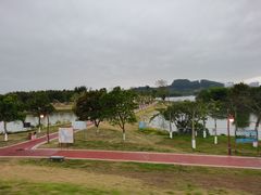 -鹤之洲湿地公园