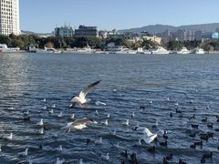-洱海月湿地公园