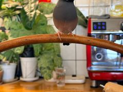 -吉丁鸟咖·异宠·寄养