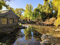 -三忘湖 SWANSEEN(柳荫公园店)