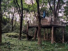 -天目湖山水园