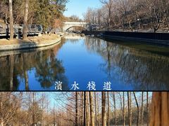 -白水寺森林公园