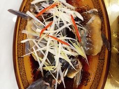 -乡土特色.冷锅鱼.牦牛肉汤锅