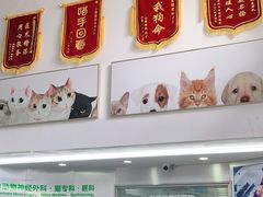 -爱侣宠医·鹦鹉专科·小型哺乳类·异宠专科(灵石路店)