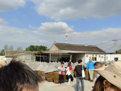 -苏州市吴中区光福窑上花果蜜饯厂