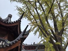 -上海东林寺(金山区)