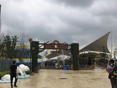 -芜湖新华联大白鲸海洋公园