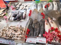 -船歌·鱼水饺青岛菜(闽江二路店)