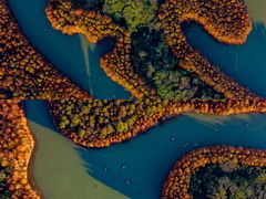 -上海海湾国家森林公园