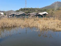 -西湖风景区-江洋畈生态公园