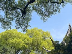 -惠山古镇·寄畅园